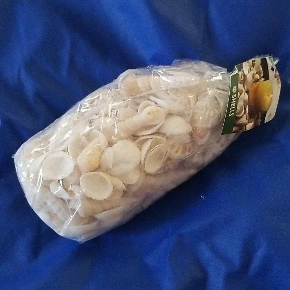 ❤Sea Shells assorted craft bag